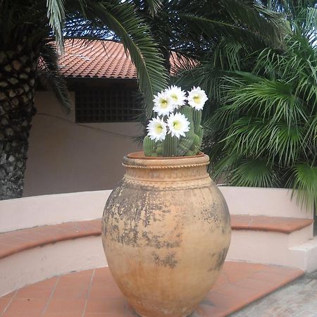 Hotel Villaggio Cala Di Volpe Capo Vaticano Zewnętrze zdjęcie