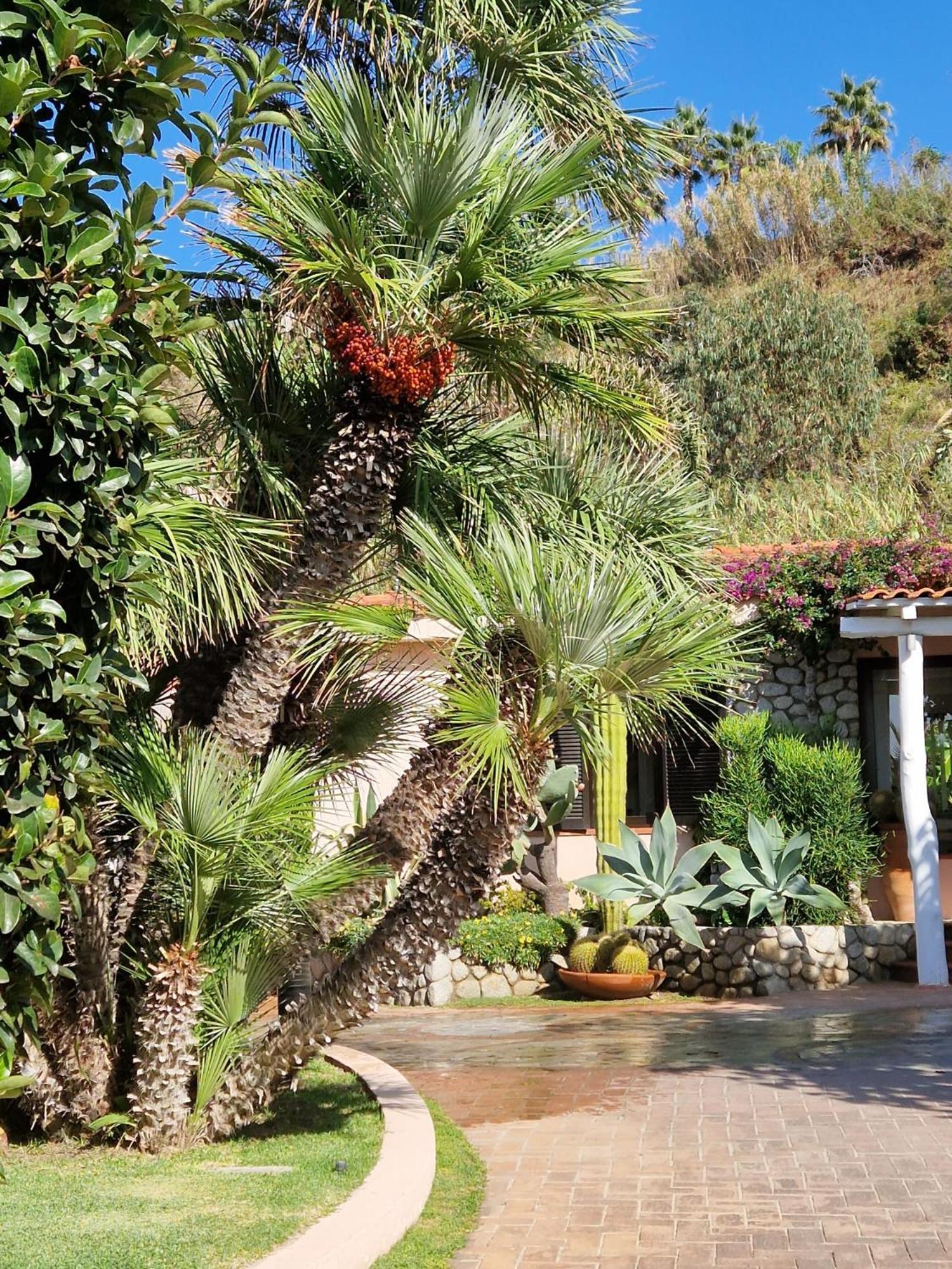 Hotel Villaggio Cala Di Volpe Capo Vaticano Zewnętrze zdjęcie
