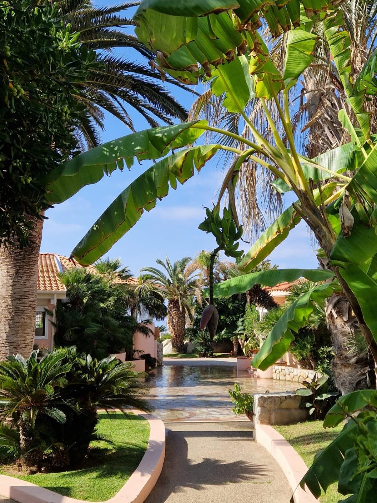 Hotel Villaggio Cala Di Volpe Capo Vaticano Zewnętrze zdjęcie