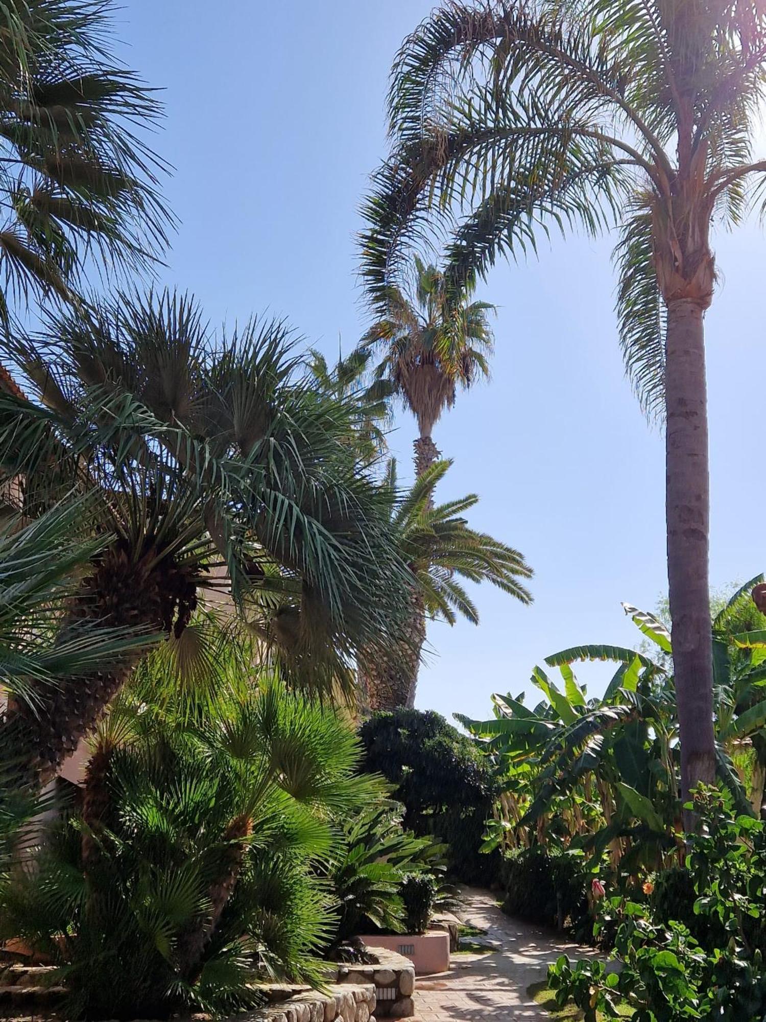 Hotel Villaggio Cala Di Volpe Capo Vaticano Zewnętrze zdjęcie
